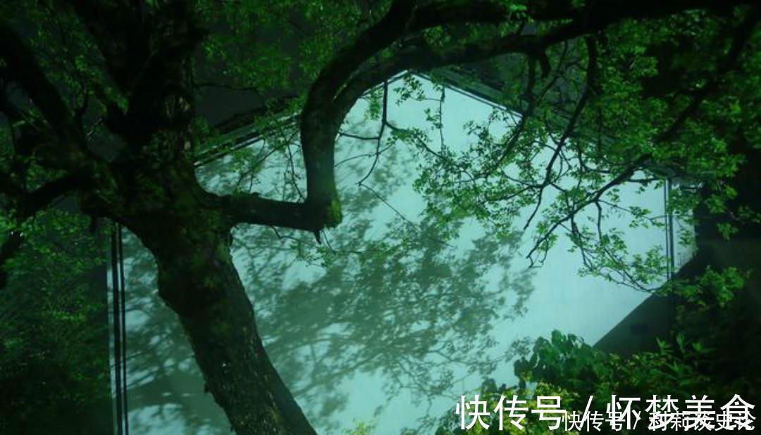 雨夜@宋朝诗人张咏这首七绝《雨夜》，同样写得很孤独，道尽了思乡之苦