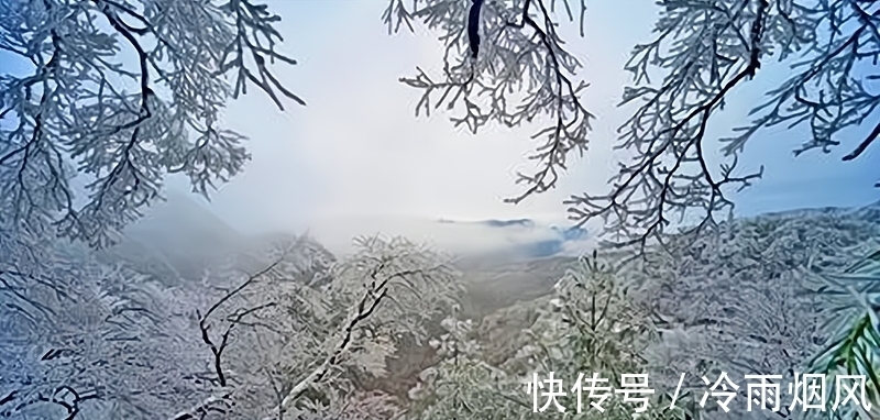 飞雪!落尽琼花天不惜,封它梅蕊玉无香—赏诗中的飞雪窥诗人心境的悲凉