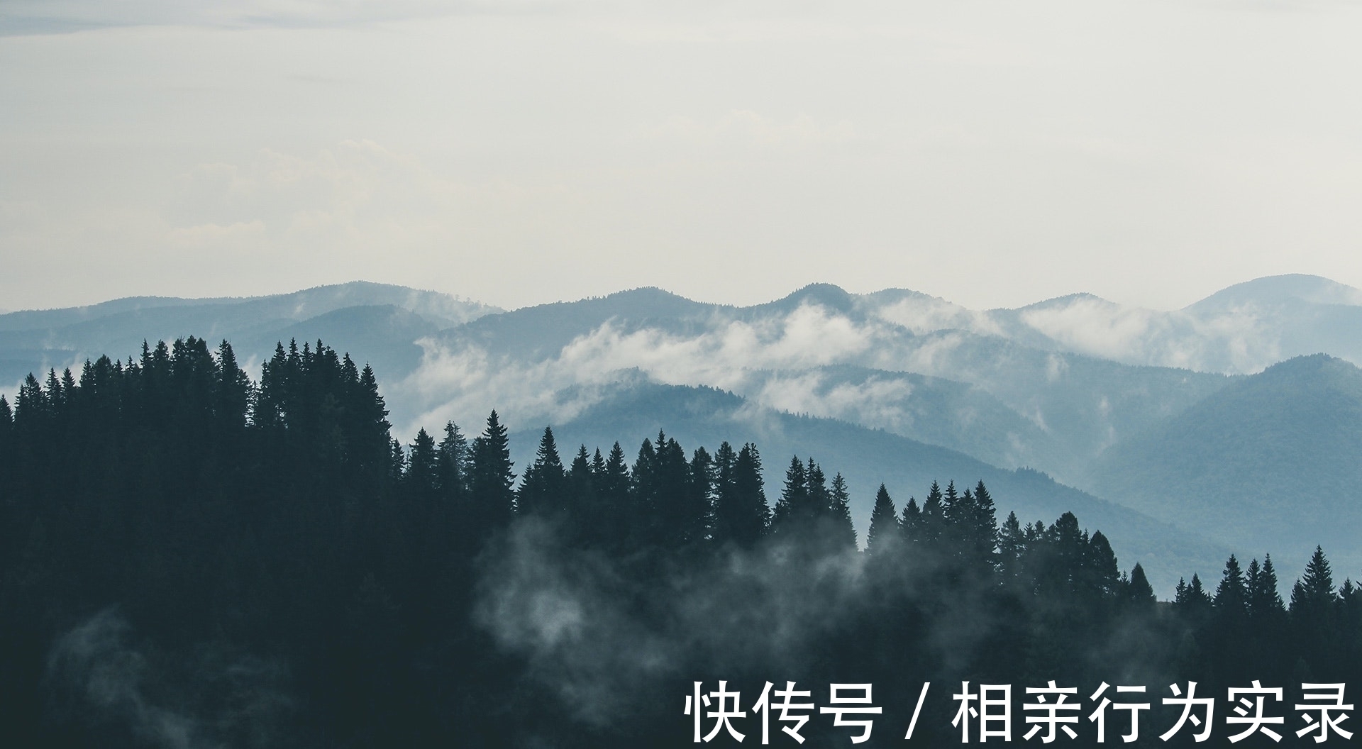 晚晴&李商隐很美的一首诗,描写雨后初晴的景色,温柔,阳光,浪漫