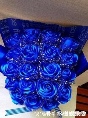 在家中养护花卉,就选择花色梦幻的花卉,妖娆优雅,非常的漂亮