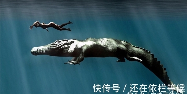 珠穆朗玛峰|23个冷知识:除了使人博学,或许也没有地方使用的奇怪知识