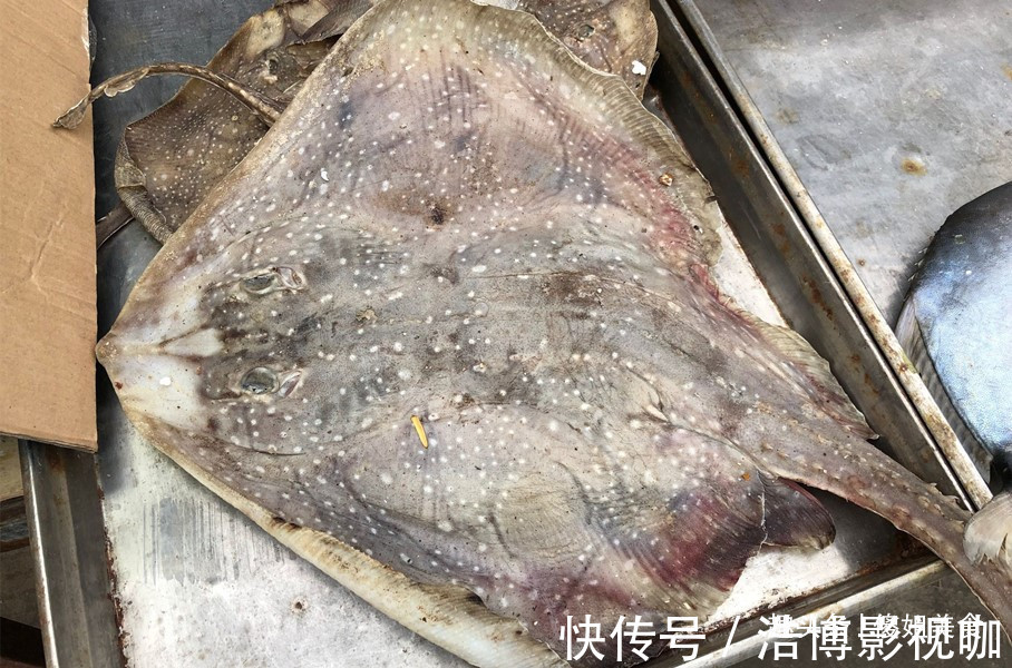 想吃鱼,就买此6种,目前无法人工养殖,都是野生鱼,放心吃吧