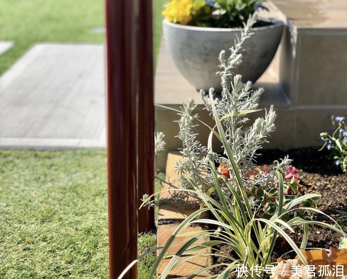 太太|断舍离生活!日本太太坚持一天一收拾,看完她家后只想回家扔扔扔