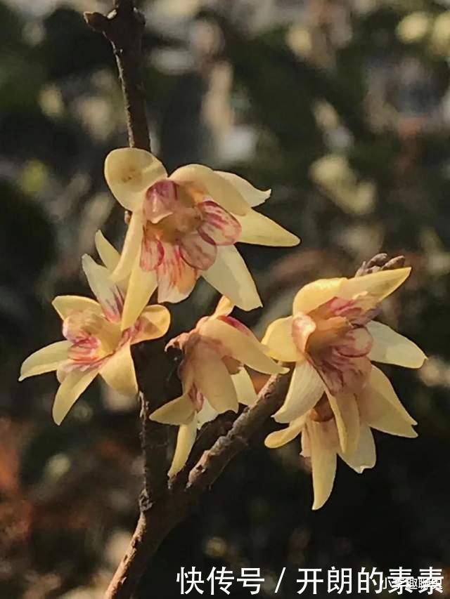 诗僧齐己写了首咏梅诗,大诗人只给他改了一个字,成就千古名作