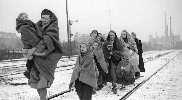 真实|士兵用罐头可以换取一切，真实事件见证：宁做太平犬，莫做乱世人