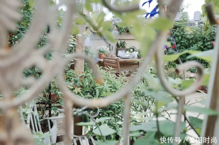 130㎡大露台,花1年改造成“花草蔬果园”,体验屋顶上的田园生活