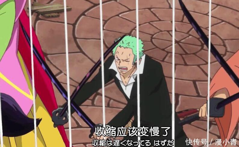 明哥|路飞能弄断明哥的线,为何索隆和藤虎打不破鸟笼