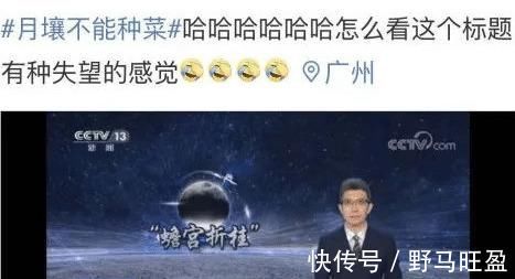 营养物质|不管多难养的花,浇水时加点它,不黄叶还不烂根,比花肥还好用