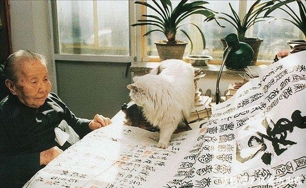  不离|冰心，为什么会爱上吴文藻，且一生不离不弃