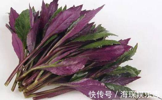 农村|农村一种野菜，价值珍贵，营养丰富，药用价值高，常吃止血抗病毒