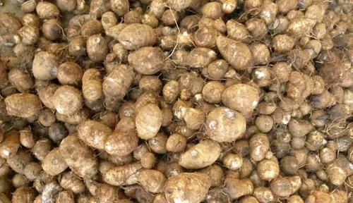 糖尿病|高血糖不用怕,经常服用这些食物,可有效降低血糖,远离糖尿病