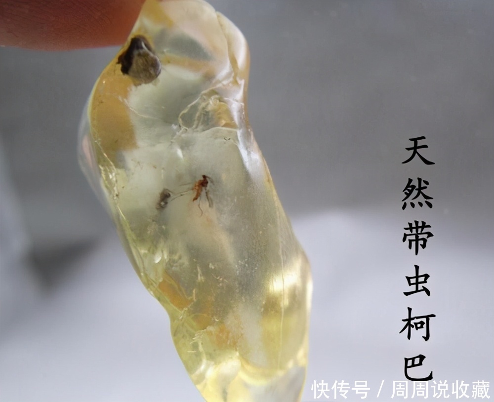 蜜蜡|蜜蜡和柯巴树脂的区别是什么?柯巴树脂怎么鉴别?