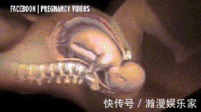 宝宝|顺产分娩时,宝宝咋从产道中爬出来的带你看清全过程,真心不易