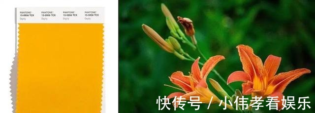 干货|不懂“流行色”,还敢称时髦精?人气配色力+穿搭重点,超值干货