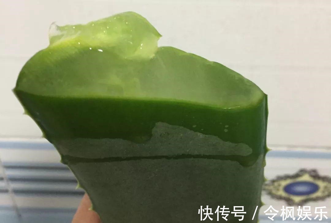 老中医最爱的8种花,一盆堪比小药箱,摘片叶子就能泡水喝!