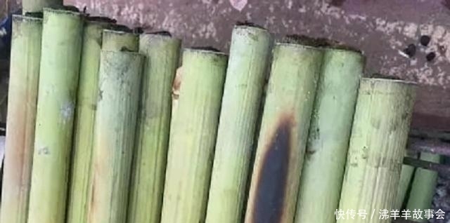 街边|大妈街边卖“烤竹子”,一根15元,吃客:便宜又好吃,买它不亏
