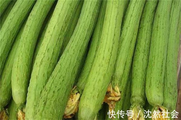 枸杞根|最受女性青睐3种食物,营养丰富,清肝明目,一定要分享闺蜜