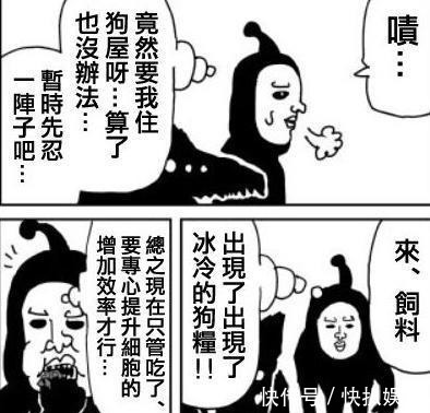 新增加|一拳超人：怪协篇结束后，埼玉将收养三只龙级宠物，波奇最忠心