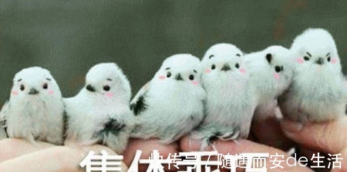 美妆博主 “国货之光”成幌子?这些口红坑你入错了吧!