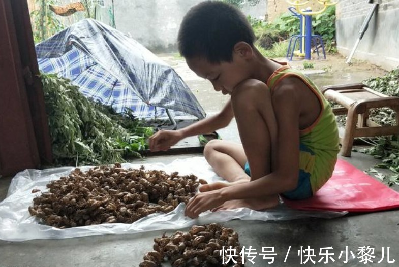 幸福感|最糟糕的父母,总是从小告诉孩子家里穷,让娃自卑一生难治愈