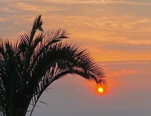 云南昆明捞鱼河湿地公园现惊艳夕阳 夕阳余晖下的姑娘美出天际