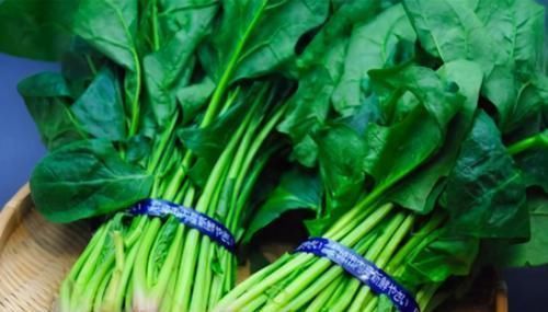 主根|男人要养肾,女人要养肝,3种食物,养肝护肝,排毒养颜