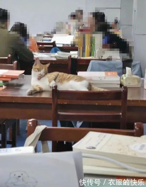 |甜粽和咸肉粽要打起来了 冷段子1830