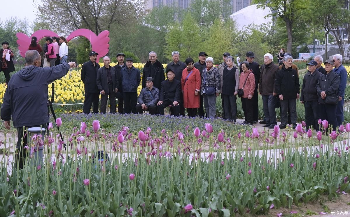 兴庆宫公园|植物园姹紫嫣红是老人聚会的好地方【严建设】