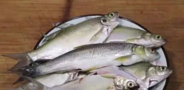 我家的鱼从来不炖,而是这样做,鱼肉鲜嫩又入味,就连鱼骨都吃掉