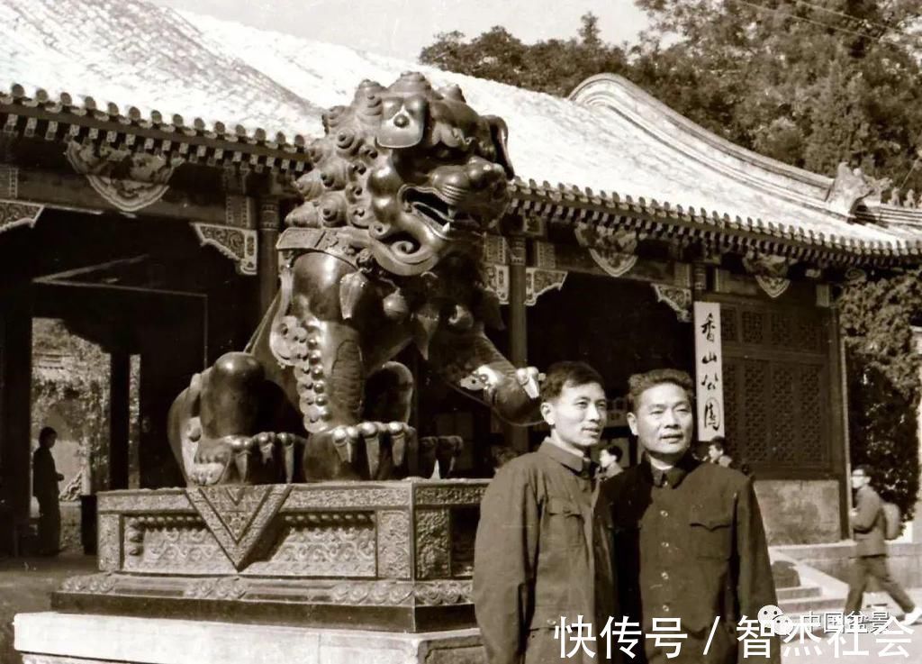 盆景@赵庆泉:请别叫我“大师”,我就是个“做盆景的”