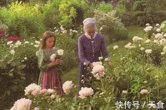 花草&93岁的少女,隐居山里,与花草为伴,将自己活成了精灵的模样