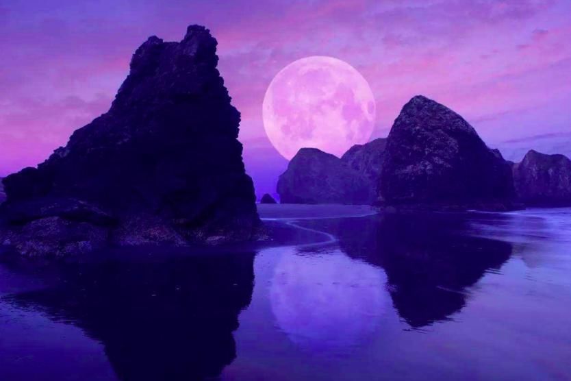 有情人|张九龄传诵千古的一首诗,只是开篇十字,便让人难以忘怀!