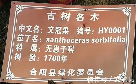 冠状动脉|预防和治疗脑梗心梗的好方法