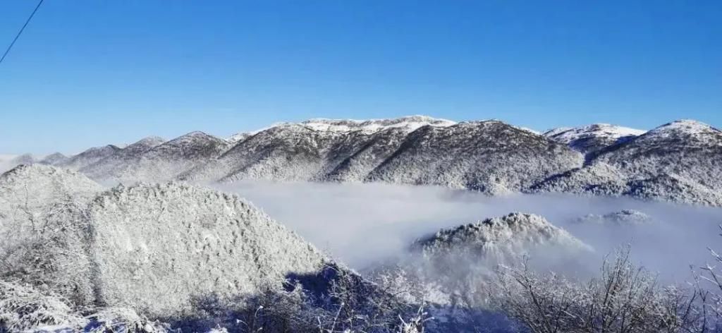 1小时飙拢！去重庆看雪！云海雪山森林，下山还能泡温泉！