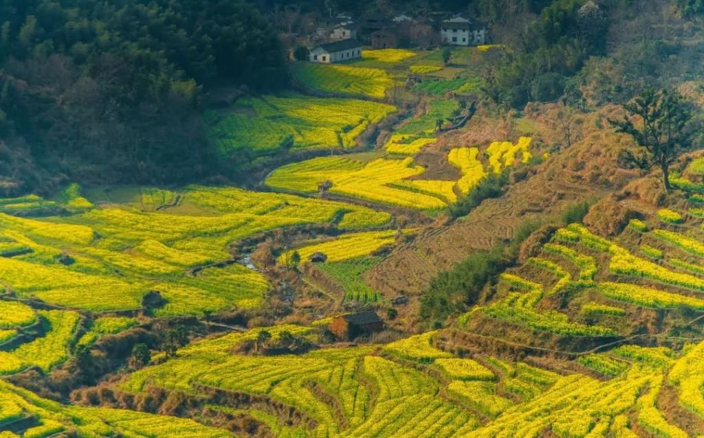  秋天|中国秋景“最美”的5座城市，如今秋色正浓，没有大理也没有拉萨