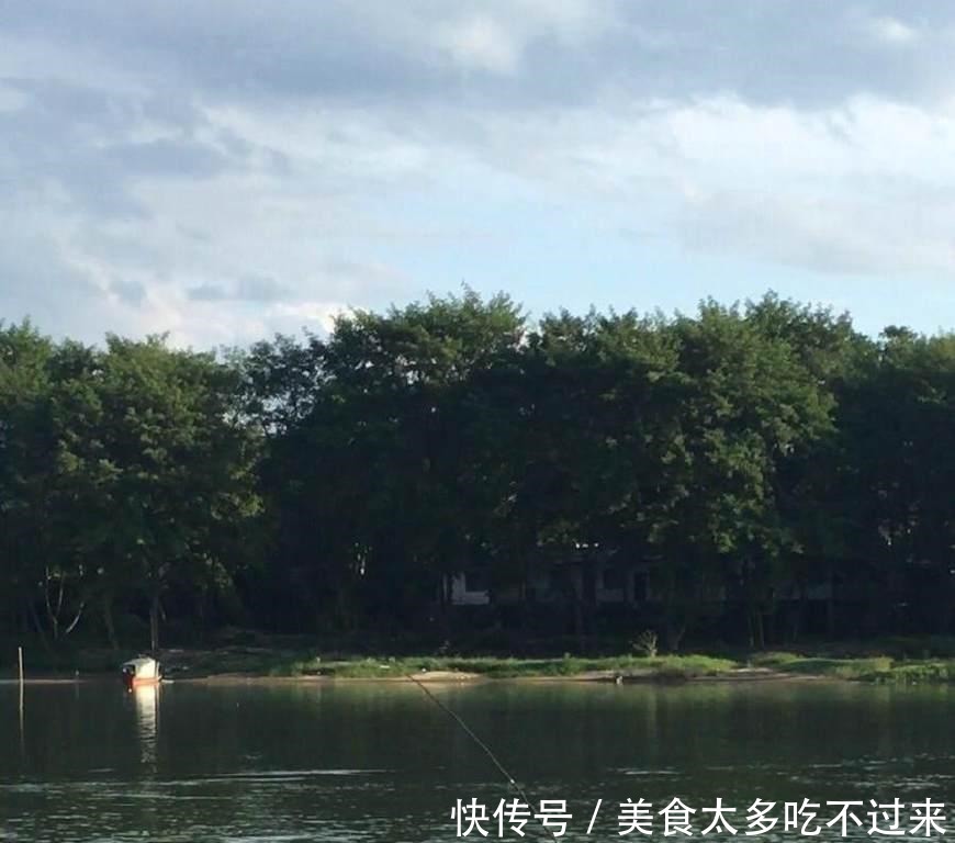 钓鱼|公园钓鱼,鱼竿被拖下水,游泳扛回,发现鱼还在!