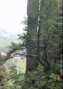 |搞笑GIF:本以为可以瞒天过海 结果还是被发现了