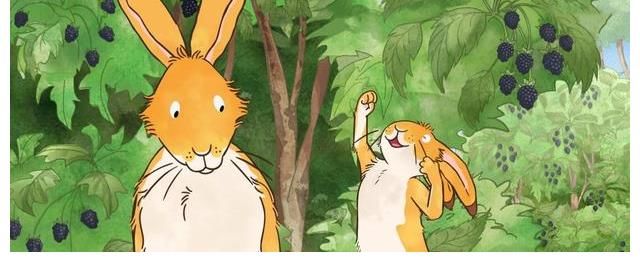 小兔子$一本励志的绘本书籍,读懂真实的爱意满满——推荐销量1800万