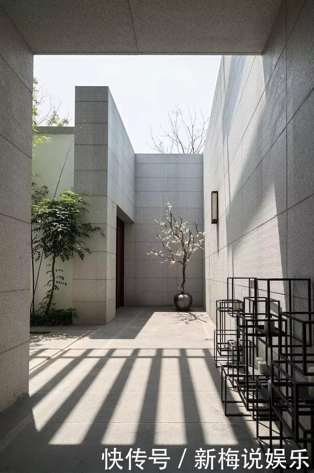 庭院种什么树好有些树真不能乱栽