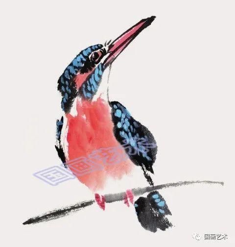  绘制出翠鸟|图文教程：轻松学画黄鹂、翠鸟