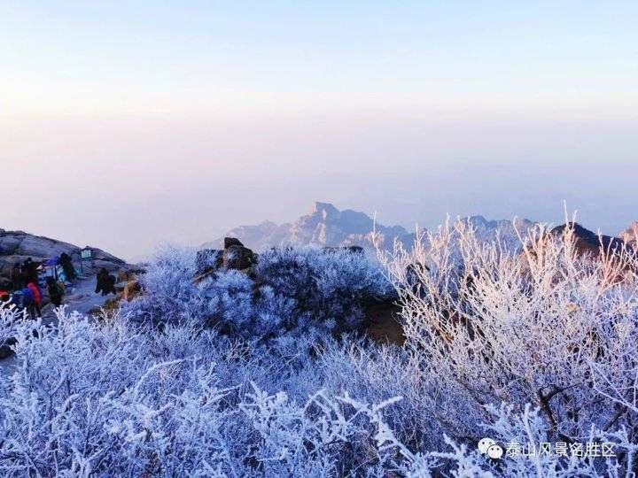 登泰山之巅，观云雾升腾铺陈成海，看云层姿态万千仿若画卷