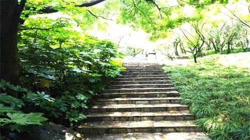 重庆这几处最美登山道，等你去打卡，哪个才是最美的呢？