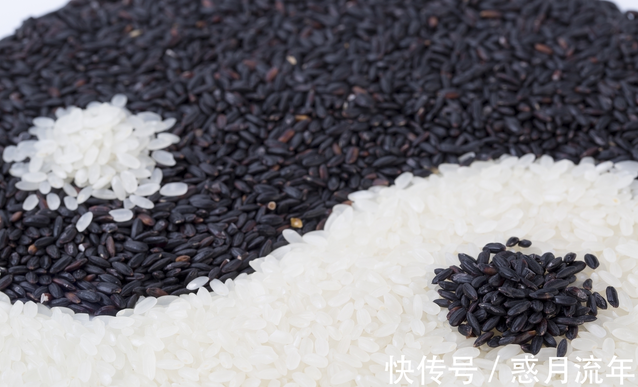 老子|《道德经》:为什么猛兽不会去伤害刚出生的婴儿?这其中有大道理