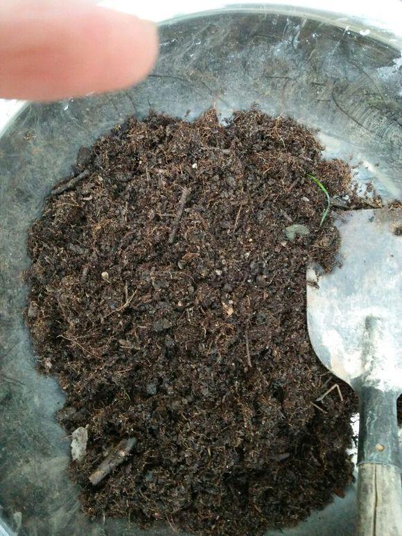 养花得用营养土！几种东西“混起来”，简单实用，养啥都旺！