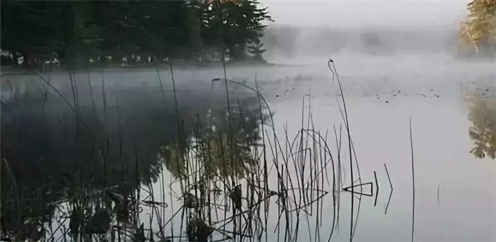 气温下降,怎么才能钓好鱼?鱼在哪里?哪种钓法最合适?