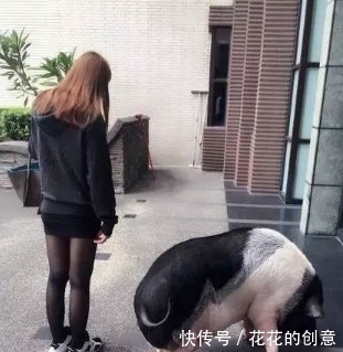 看姑娘这打扮,莫非是孙悟空派来的救兵吧