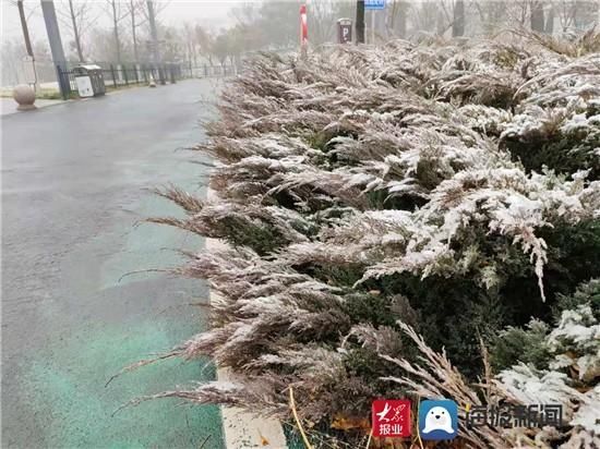 组图|组图｜淄博这场雪用实力说话 这些地方最美