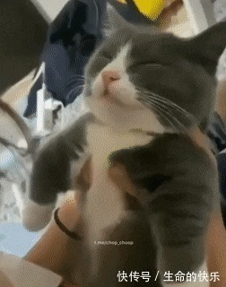 |搞笑说个价钱让我死心