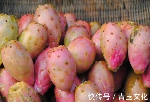 营养|人到中年,要坚持吃四种食物,补充营养、延缓衰老