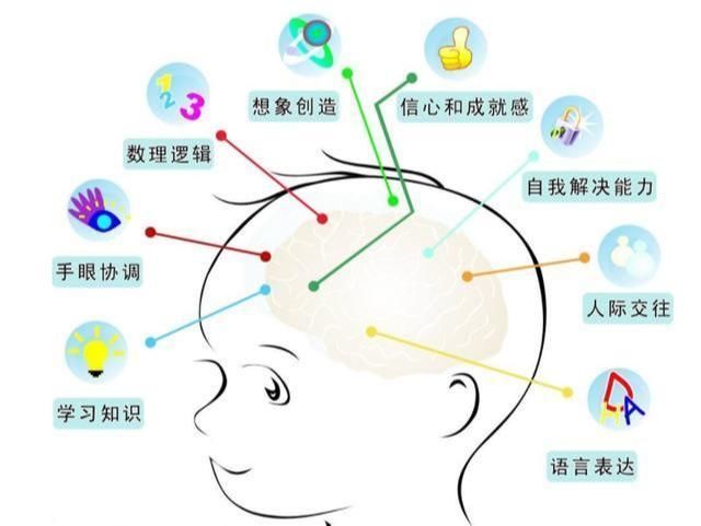 哈佛研究表明:孩子有3次大脑发育黄金期,想要孩子聪明,别错过